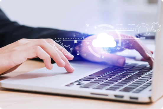 CAT4 standard software service illustration